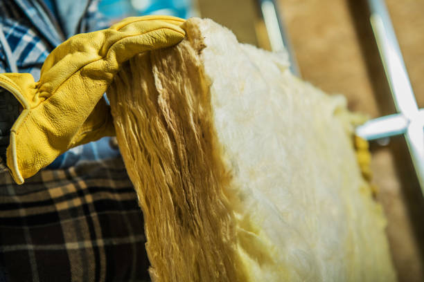 Best Insulation Maintenance and Repair in Augusta, WI